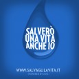 Segnalo questo case study perchè mi sembra sia utile che interessante. &nbsp; Avis, Associazione Volontari Italiani Sangue, si affaccia al mondo dei social network attraverso un’iniziativa volta a sensibilizzare i giovani alla donazione e ad aumentare il suo bacino d’utenza....